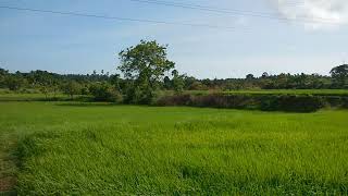 கிராமத்தின் அழகு (village of beauty)