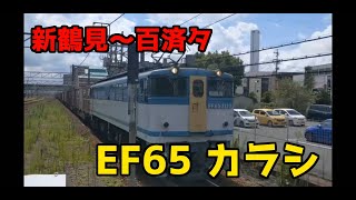 5087レ EF65 2127 新鶴見〜百済タ