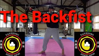 The Backfist (Kajukenbo training program)