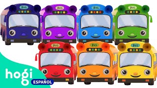 Las Ruedas del Bus | Buses Coloridos | Colores | Canciones Infantiles | +Mix | Hogi en español