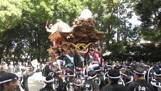 令和6年　深井だんじり祭　野々宮神社宮入　宮入7番：深井畑山町　令和6年（2024年）10月6日