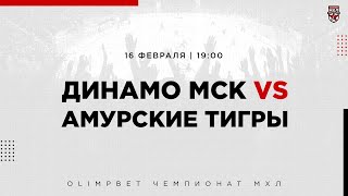 16.02.2023. МХК «Динамо» МСК – «Амурские Тигры» | (OLIMPBET МХЛ 22/23) – Прямая трансляция