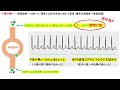 心電図検定4級～3級対策【房室結節リエントリー頻拍 vs 房室回帰頻拍】