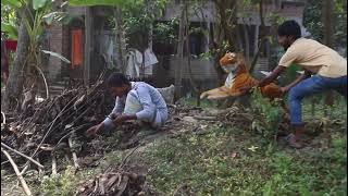 ஏமாற்றும் புலி பொம்மை | Tiger toy Break Minutes | so funny Prank Video