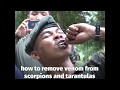 U S  and THAI MARINES DRINKS COBRA BLOOD AND EAT LIVE SCORPIONS