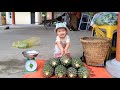 Single mother picking pineapples to sell with her small child, delicious dinner for mother and child