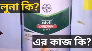 লুনা কি? লুনার কাজ কি? একটি প্রবাহমান ছত্রাকনাশক সম্পর্কে জানি