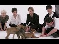 Stray Kids Play The Puppy Interview