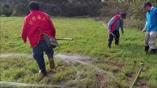 111年12月4日   永鴻隆船隊   奉何清吉理事長指示   配合苗栗刑警大隊   於苗栗市區路口處   及時剷除大件鴿網   維護比賽關公平性