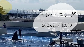 トレーニング　2025.2.10 10:30