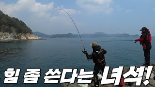 [빡꾼] 힘 좀 쓴다는 녀석! 돔 낚시!