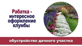 Рабатка – необычный цветник