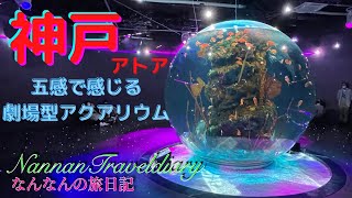 【アトア水族館】💖潜入💖神戸atoa（アトア）光の演出と五感で感じる劇場型アクアリウム