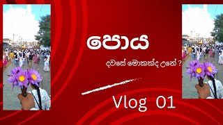 පොය දවසේ මොකක්ද උනේ ? කියලා බලමු