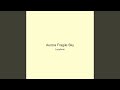 Aurora Fragile Sky