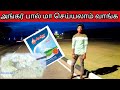 அங்கர் பால் மா செய்யலாம் வாங்க/Anchor milk can do / srilankan boy