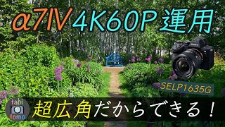 『超広角レンズ』だからα7IVでも「4K60P運用」ができる理由！SELP1635G+PP4設定