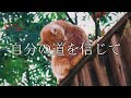 幸せを呼ぶ可愛い猫です。7月12日の朝の浄化祈願