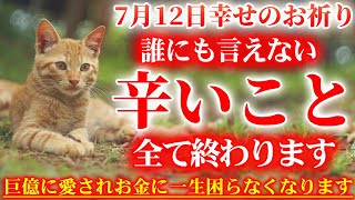 幸せを呼ぶ可愛い猫です。7月12日の朝の浄化祈願