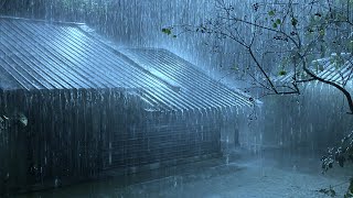 Relieve Stress to Sleep Immediately with Heavy Rain & Furious Thunder on Rusty Tin Roof at Night