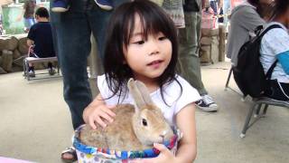 ■王子動物園へ行ってきました③ふれあい広場ウサギちゃん