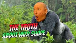 Wild Shape in Dnd 5.5 2024