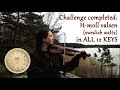 H-moll valsen IN 12 ALL KEYS : challenge completed (fiddle)