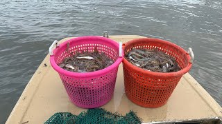 Shrimping the beaches of Blackbeard Island, GA Viking Style Yamaha outboard!