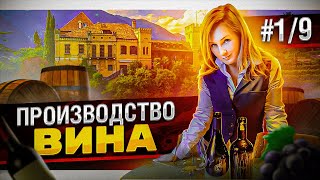 Как делают вино? Часть 1/9. Сбор урожая, транспортировка, триаж, мацерация. Репортаж из замка Рамец.