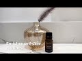 pine needle essential oil see what you ve been missing out essential oil review gya labs