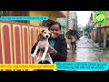 shine of sandhya foundation saveanimals