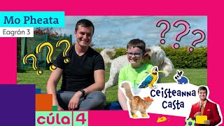 Ceisteanna Casta | Clár 3 | Mo Pheata 🦜🙀🐰🐸