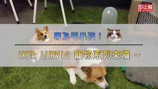 【上報生活】專為毛小孩！　IKEA LURVIG 寵物系列來囉 ~