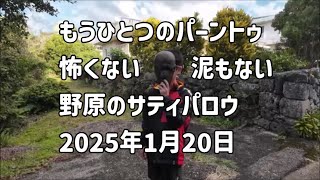 もうひとつのパーントゥの様子を歩き撮り：2025年1月20日 野原のサティパロウ【宮古島 上野野原地区】宮古島の伝統行事・神事 UNESCO World Heritage in Japan