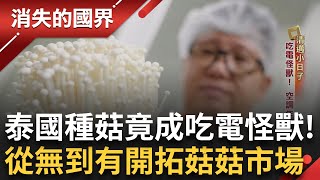 SUB｜泰國愛吃鍋不分寒暑「菇」有市場? 金針菇熱帶地區種植成本高 是賭注也是機會! 台商從無到有開拓泰菇市場 產菇算「工業」非農業 吃電! 空調年砸1個億│【消失的國界】20240831│三立新聞台