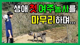 여주와의 추억을 떠올리며 / 2020년 여주 수확 마지막 이야기