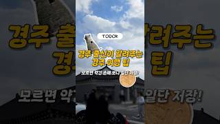 경주 현지인이 알려주는 경주 여행 팁 | 경주 여행 추천 | 경주 여행 주의사항