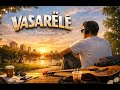 Nostalgiškas - VASARĖLĖ (Generuota DI) 