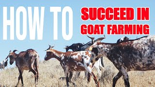 Discover the hidden strategies for thriving in goat farming | Modern Agriculture