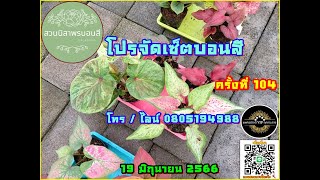 ❌ปิดทุกเซ็ตจ้า ขอบคุณค่ะ❌🥳โปรจัดเซ็ตบอนสี ครั้งที่ 104 🥳จัดเซ็ตสวยๆ 19 มิ.ย. 66 โทร /ไลน์ 0805194988