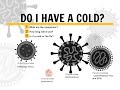 The Common Cold:  Timeline of Symptoms