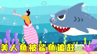 美人鱼豆豆被可恶的鲨鱼追赶！Mermaid Doudou is chased by a nasty shark!