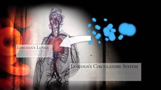 A Distillations Explainer: Hemoglobin