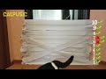 cat vs wall of toilet paper. new challenge