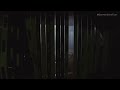 Binaural sound design, produced with NUENDO 12's DOLBY RENDERER.