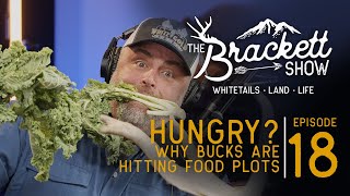 Hungry? Big Bucks Finally Hit Food Plots | The Brackett Show - Episode 18