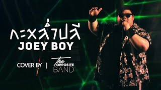 กะหล่ำปลี - Joey Boy : LIVE【COVER】| THEOPPOSITE