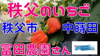 【秩父】秩父のいちご・秩父市中蒔田富田農園さん。願いが叶いました！