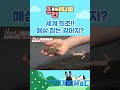 주간애니멀 shorts 세계 최초 해삼 잡는 강아지 주간애니멀 shorts