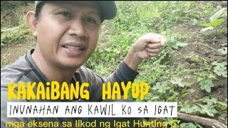 Kakaibang hayop sa ilog, kinain ang pain sa igat /#igat hunting part 6